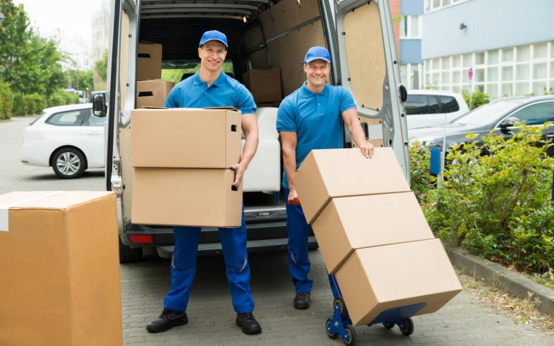 Conseil Logistique